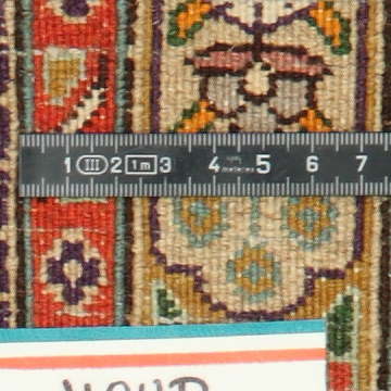 Knoten Detailansicht