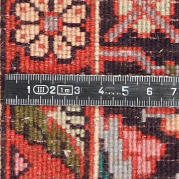 Knot detail view