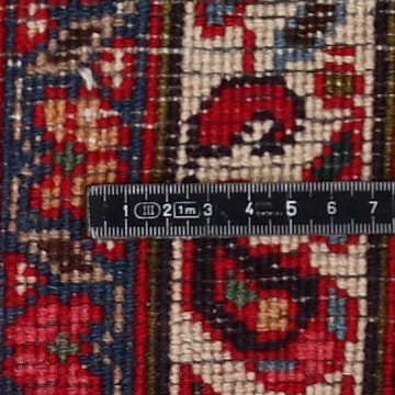 Knot detail view