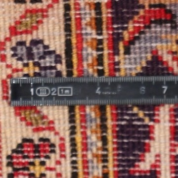 Knot detail view
