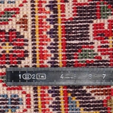 Knot detail view