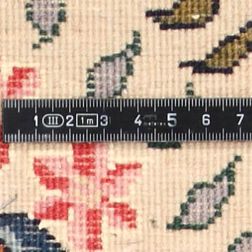 Knoten Detailansicht