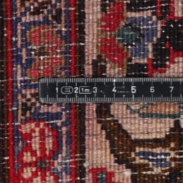 Knot detail view