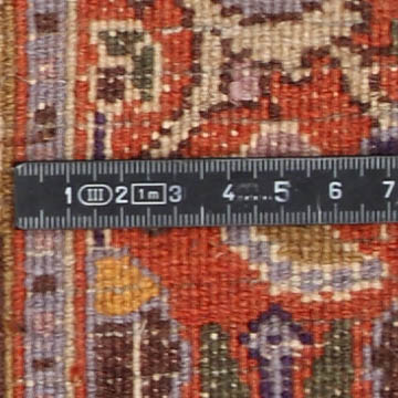 Knot detail view