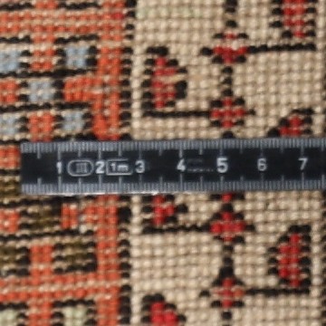 Knot detail view