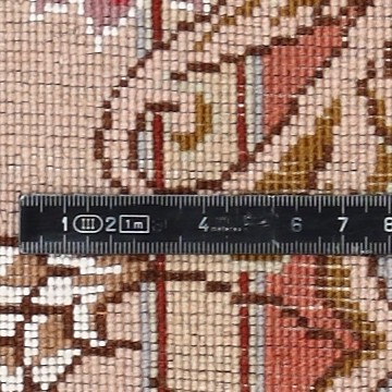 Knoten Detailansicht