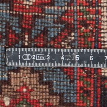 Knot detail view