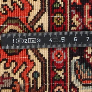 Knoten Detailansicht