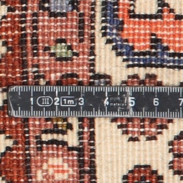 Knoten Detailansicht