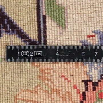 Knoten Detailansicht