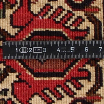 Knoten Detailansicht