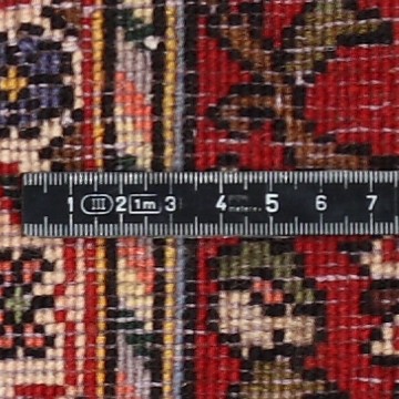 Knot detail view