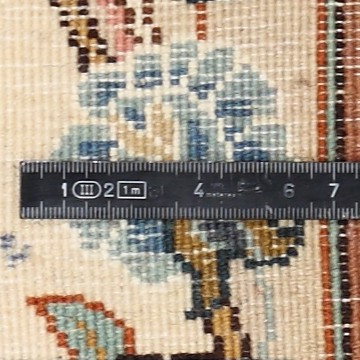 Knoten Detailansicht