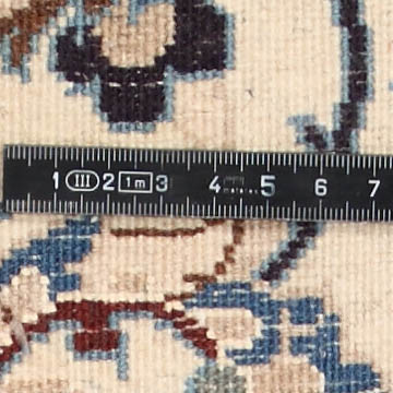 Knoten Detailansicht