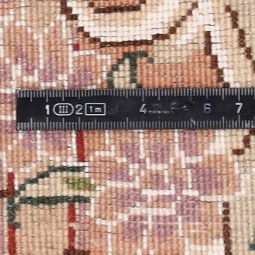 Knoten Detailansicht