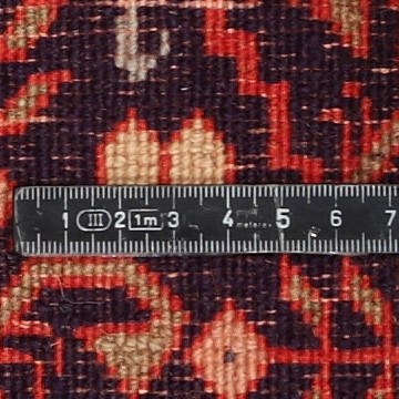 Knot detail view
