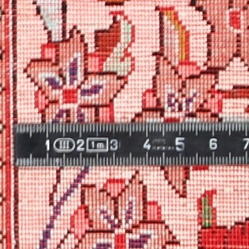 Knot detail view