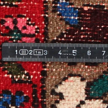 Knot detail view