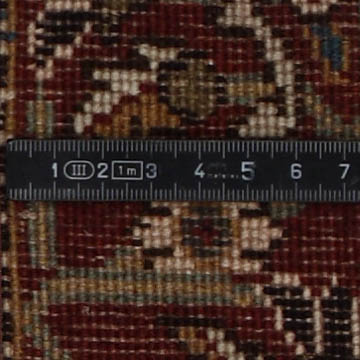 Knoten Detailansicht