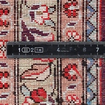 Knot detail view