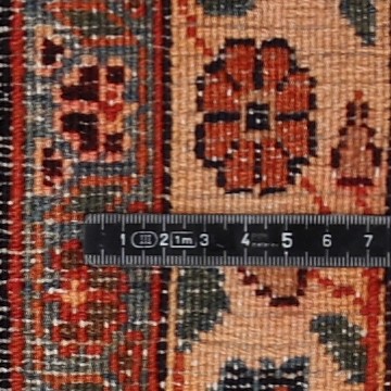 Knoten Detailansicht