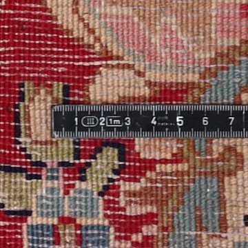 Knot detail view