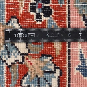 Knot detail view