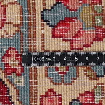 Knot detail view
