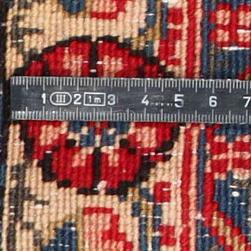Knoten Detailansicht