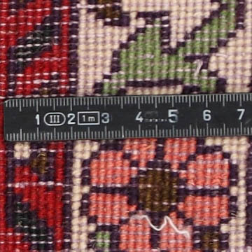 Knoten Detailansicht