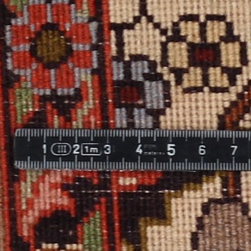 Knoten Detailansicht