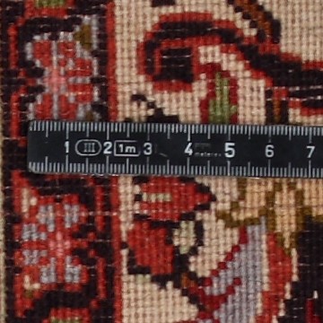 Knoten Detailansicht