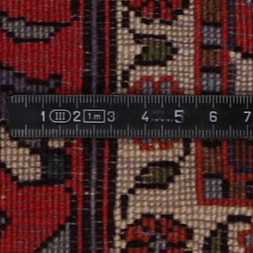 Knoten Detailansicht