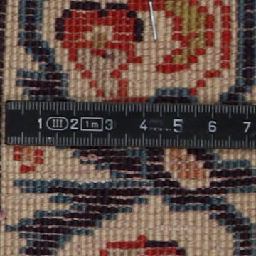 Knoten Detailansicht