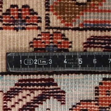 Knot detail view