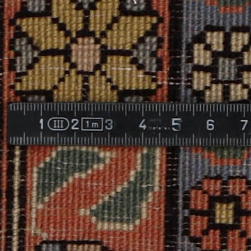 Knot detail view