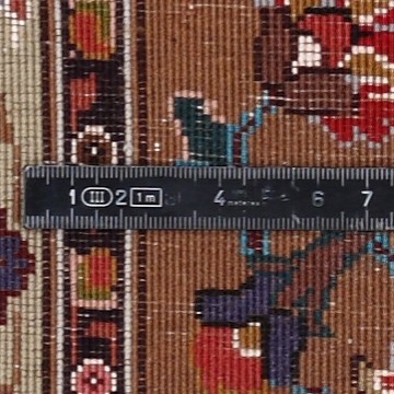 Knoten Detailansicht