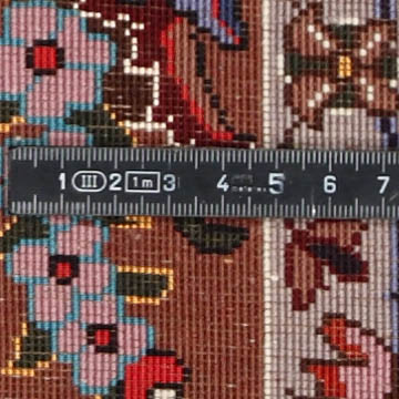 Knoten Detailansicht