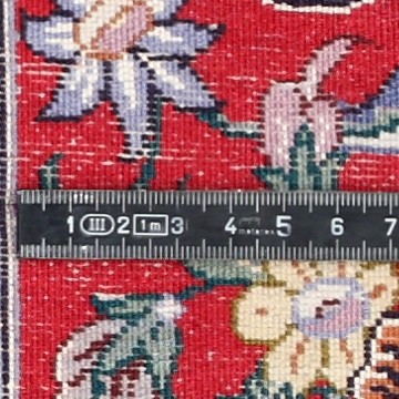 Knoten Detailansicht