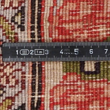 Knoten Detailansicht