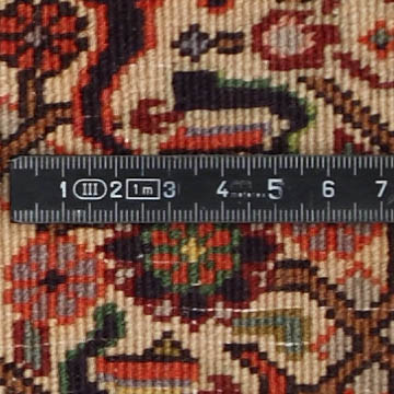 Knoten Detailansicht
