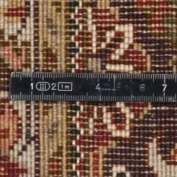 Knoten Detailansicht