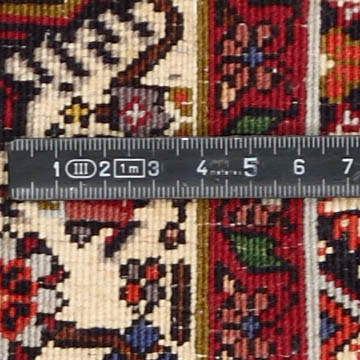 Knoten Detailansicht