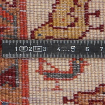 Knoten Detailansicht