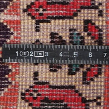 Knoten Detailansicht