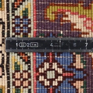 Knoten Detailansicht