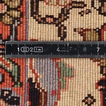 Knoten Detailansicht