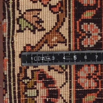 Knoten Detailansicht