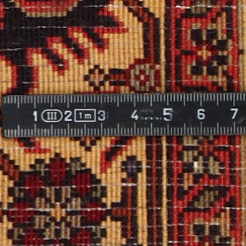 Knoten Detailansicht