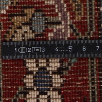 Knoten Detailansicht
